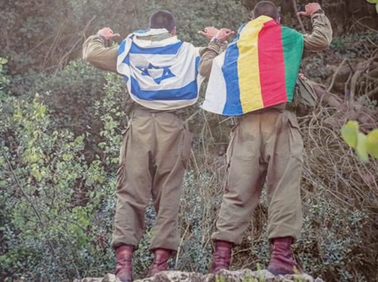 חייל יהודי וחייל דרוזי עטופים בדגלי ישראל ודרוז
